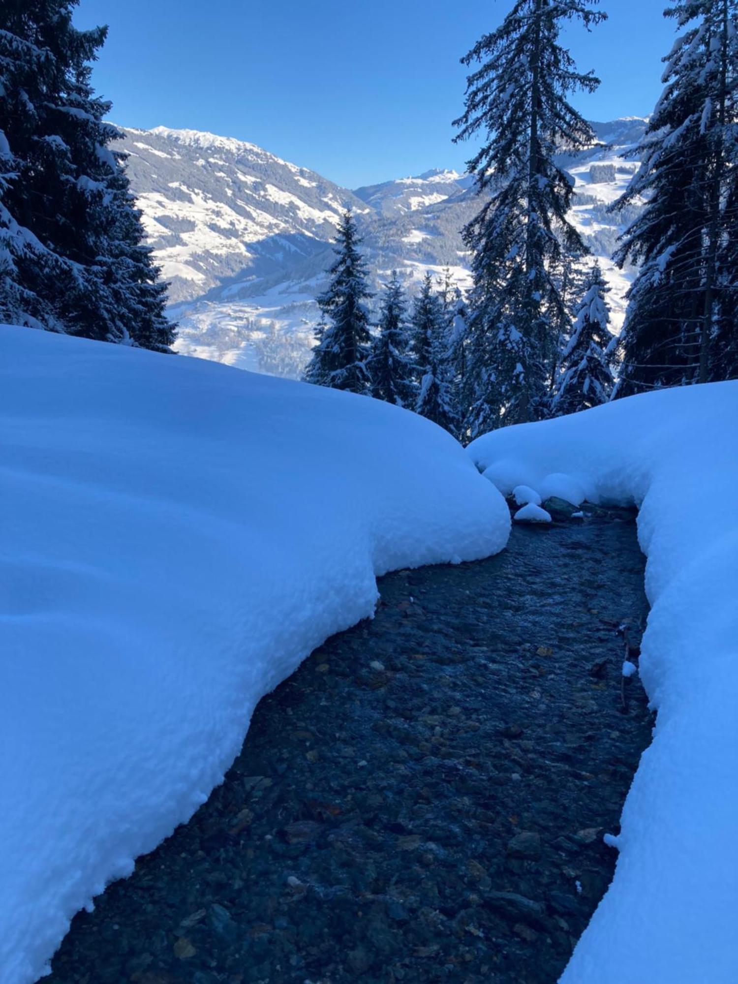 Goass'N Alm Zillertal Villa Hippach Luaran gambar
