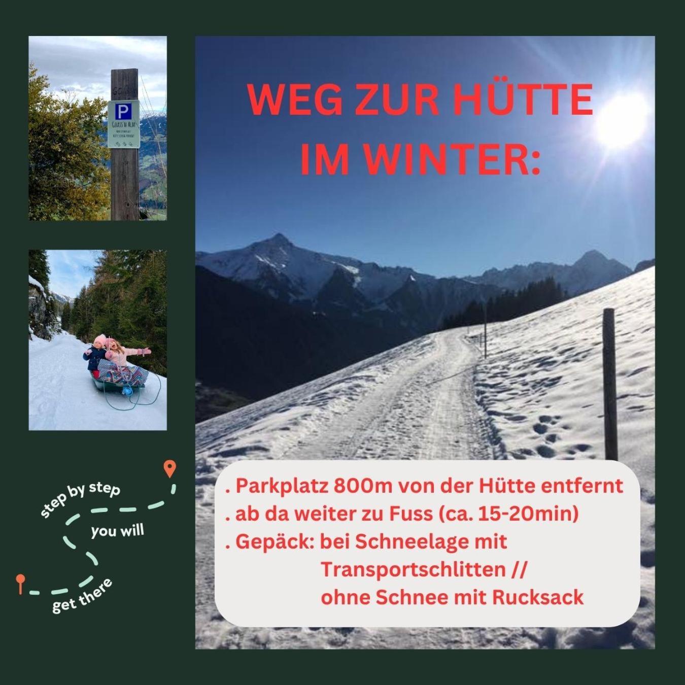 Goass'N Alm Zillertal Villa Hippach Luaran gambar